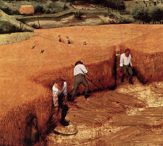 Pieter Bruegel the Elder The Corn Harvest china oil painting image